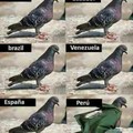 Contexto: se preparan para matar a los de Perú, porque comen palomas