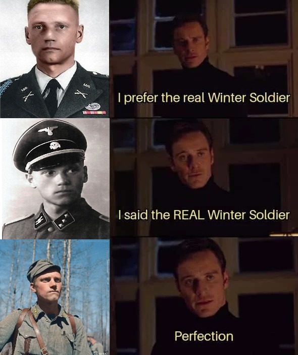 Winter Soldier - meme