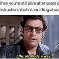 I'm honestly surprised that I survived all the drugs I did