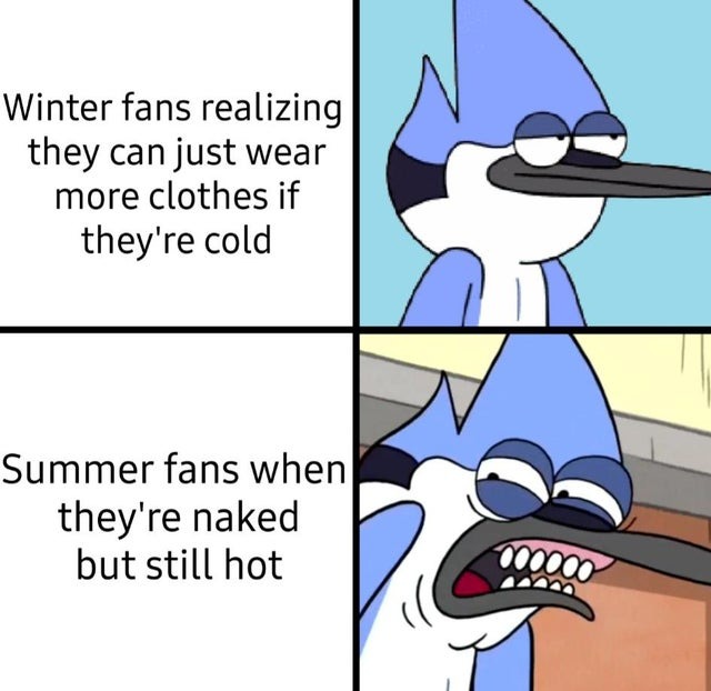 winter vs summer - meme