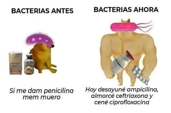 bacterias antes vs ahora - meme