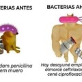 bacterias antes vs ahora
