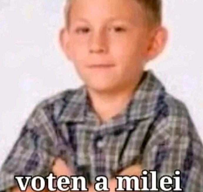 Voten a Milei - meme