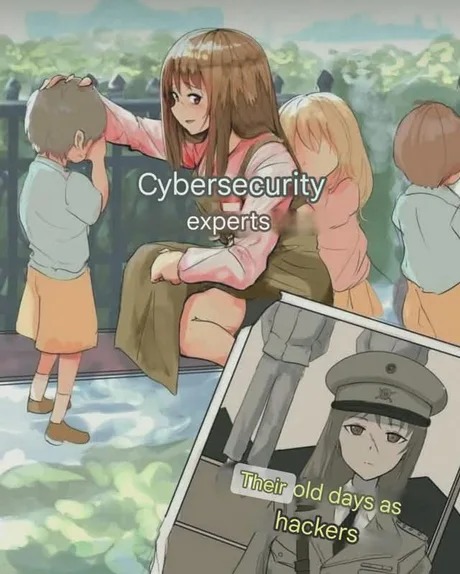 Cybersecurity experts - meme