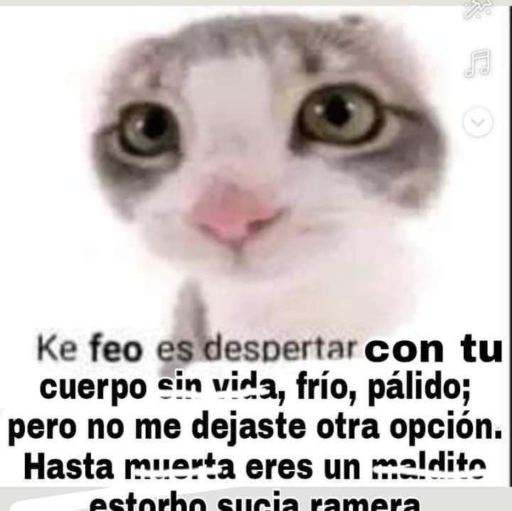 Que - meme