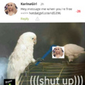 Stop scamming )=< (RawrBirb)