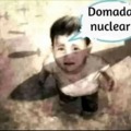 domada nuclear