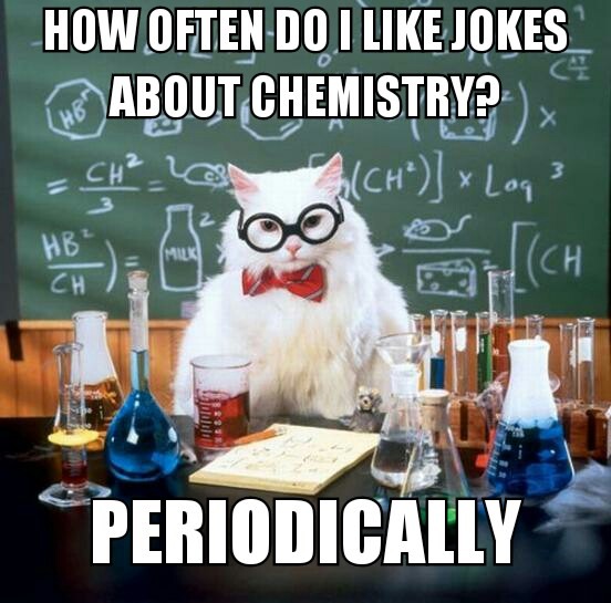 Chemistry cat will teach you guys - meme