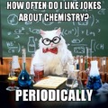 Chemistry cat will teach you guys