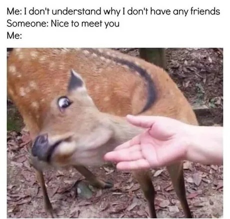 Nice to meet you - meme