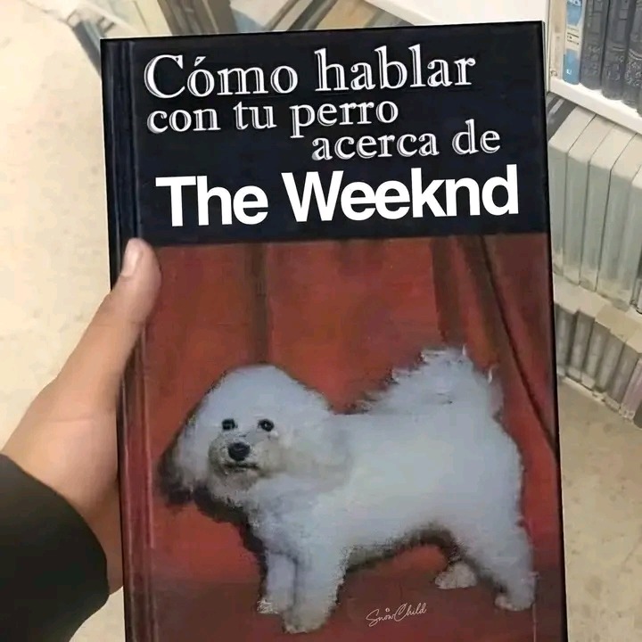 Titulo - meme