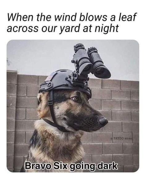 Bravo Six going dark for a single leaf - meme