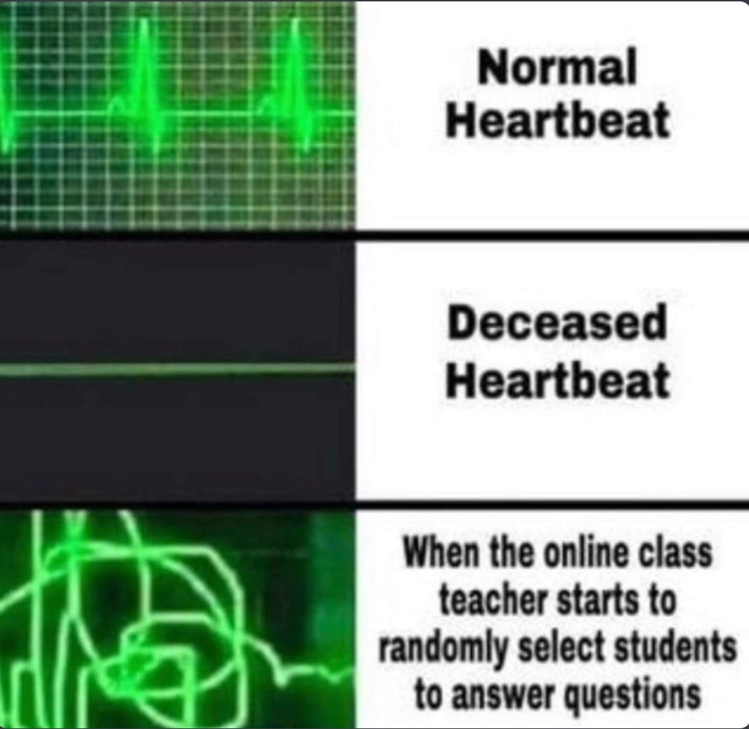 School isn’t real - meme