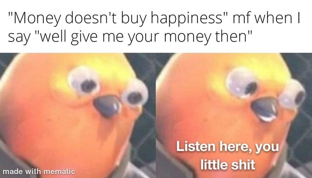 Money doesn't buy happiness - meme