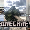 Contexto: Árvore vazada do set do filme do Minecraft