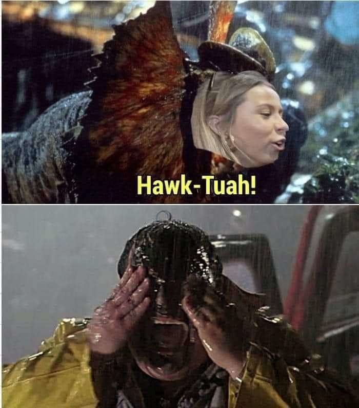 Jurassic Hawk - meme