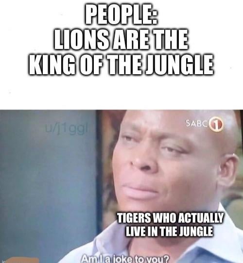 who is the king of the jungle - meme