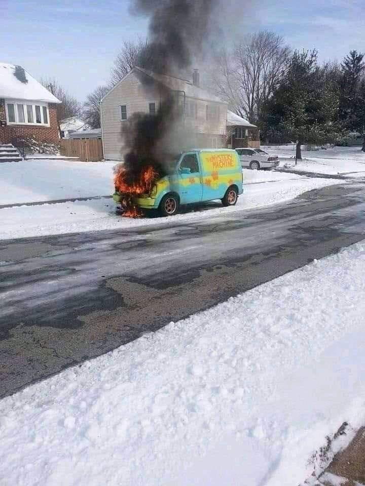 There goes shaggy - meme