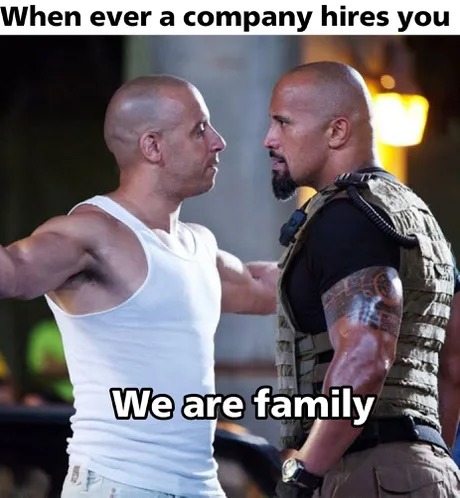 When ever a company hires you - meme