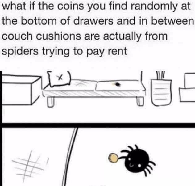 Spiders paying rent - meme