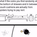 Spiders paying rent