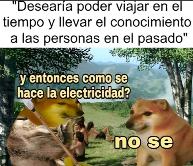 XDXD - meme