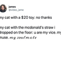 Cat owners can relate