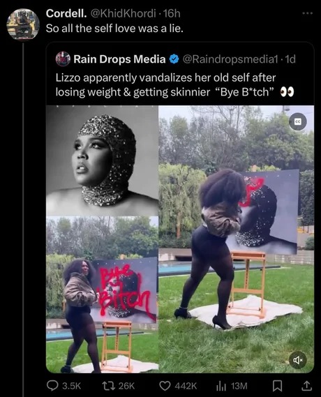 Lizzo self love was a lie - meme