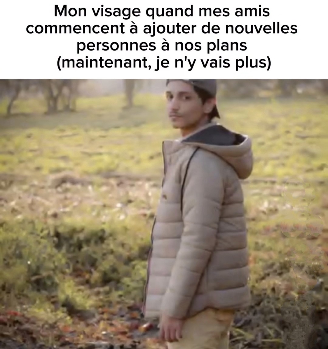 non merci - meme