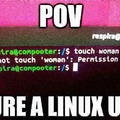When linux