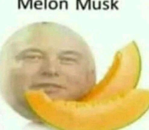 Melon GGMI - meme