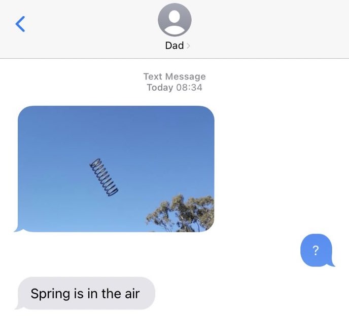spring - meme
