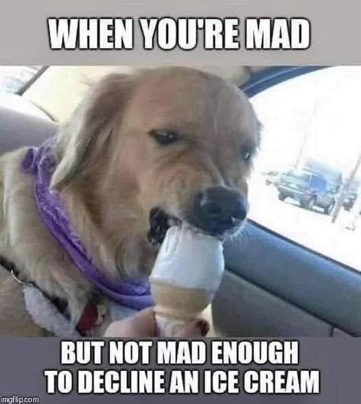 Angry but not angry enough to decline ice cream - meme