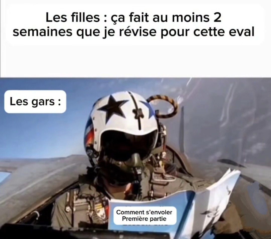 Les filles révisent, les gars tentent de s’envoler - meme