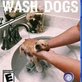 Wash dogs