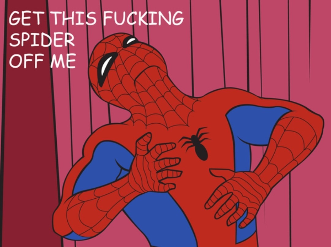 Not even Spiderman likes spiders - meme
