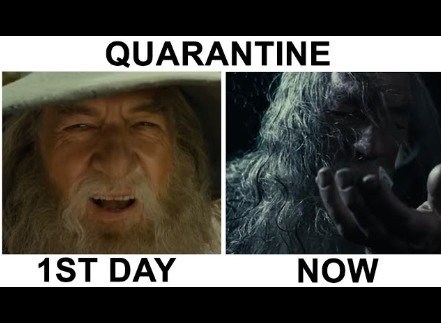 What quarantine was like haha - meme