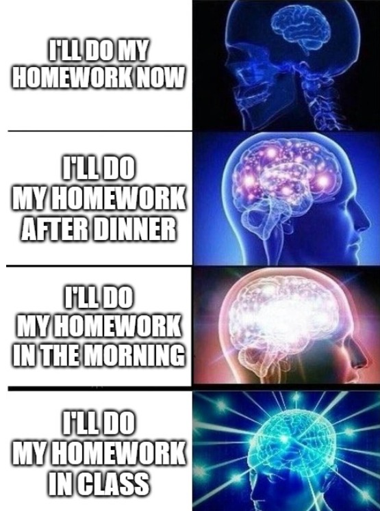 Homework - meme