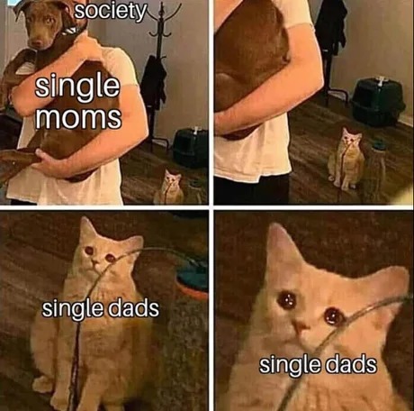 cheer up single dads - meme