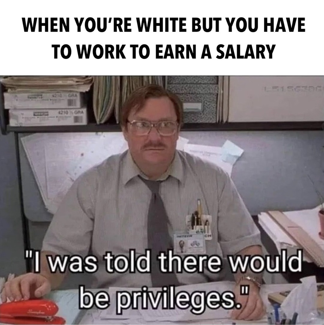 You mean privileges aren’t free? - meme