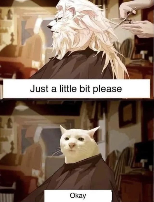 Cat haircut meme