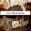 Cat haircut meme