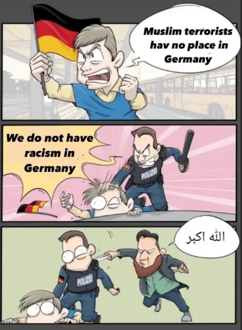 Minority appeasement killing the world - meme