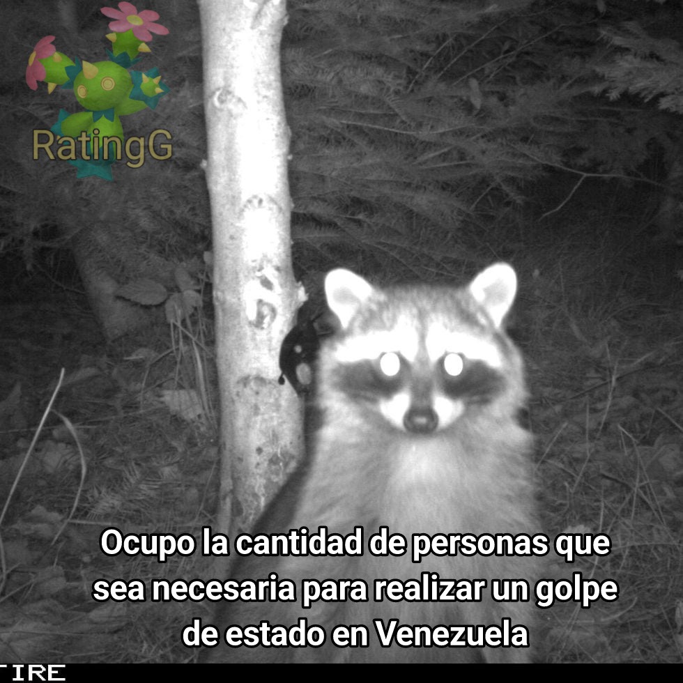 Los que sean, vamos en chinga - meme
