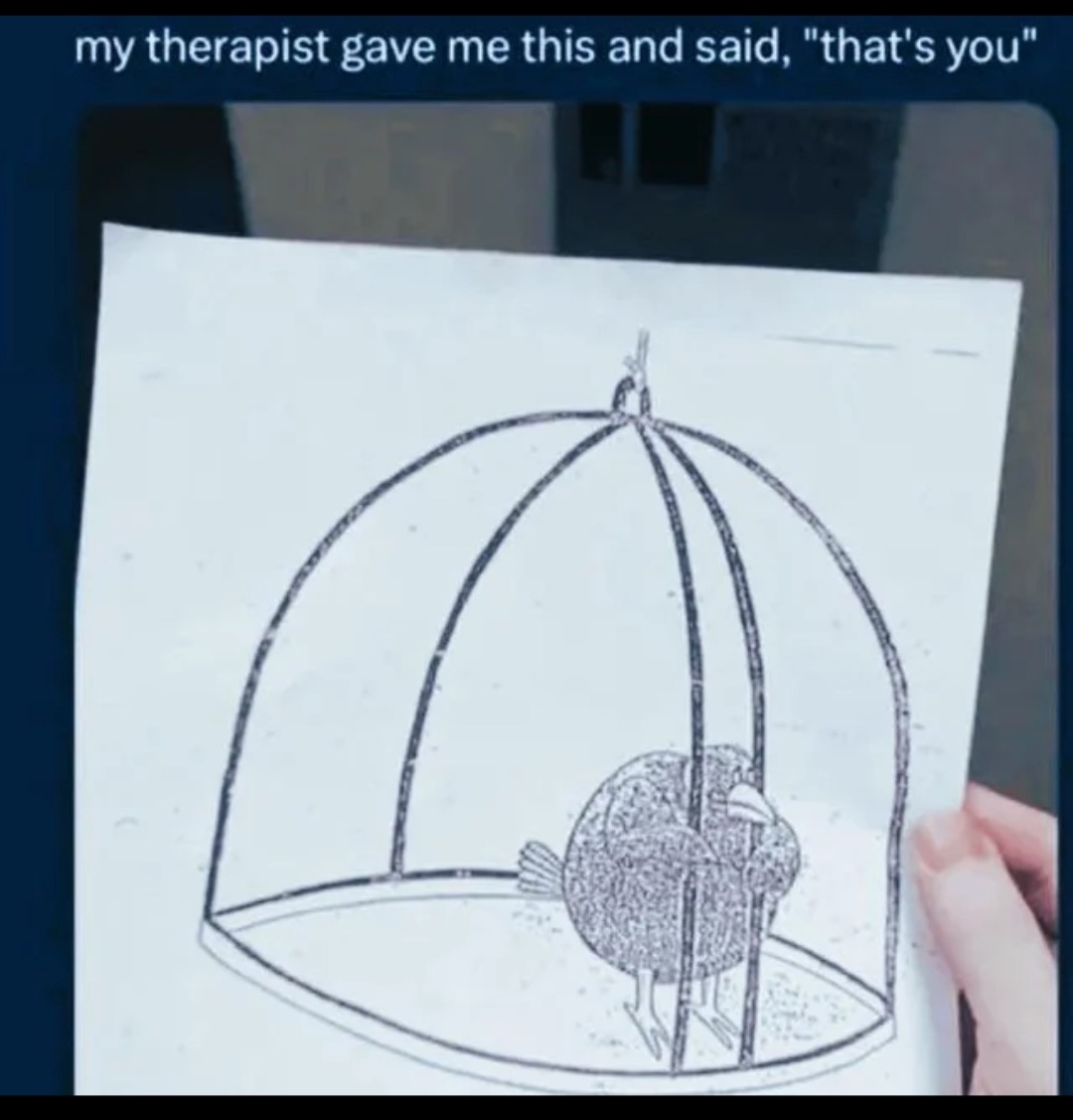 You - meme