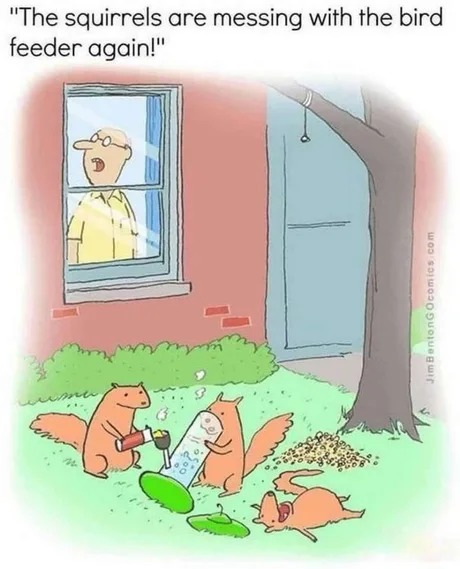 Stoner squirrel - meme