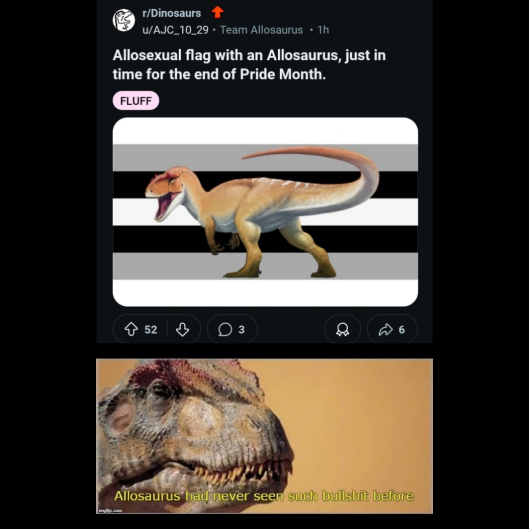 Como cagan estos downs y sus ideas de hacer banderas de mierda a toda cosa que ven... Bueno eso es reddit que esperábamos? - meme
