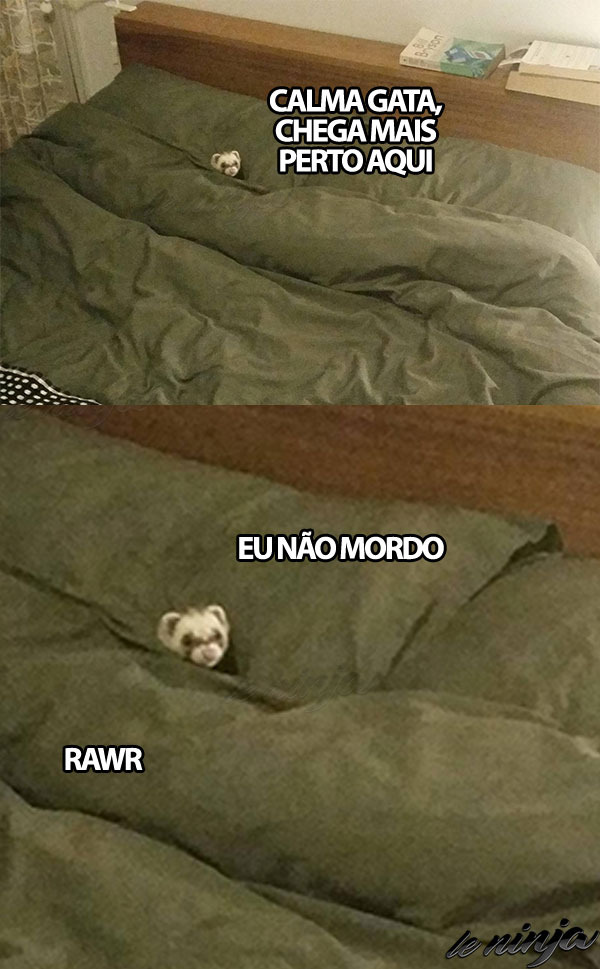 RAWR - meme