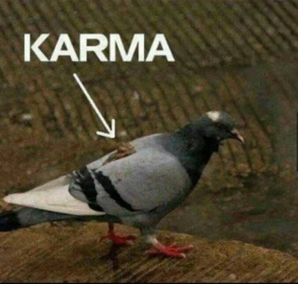 Karma ._. - meme