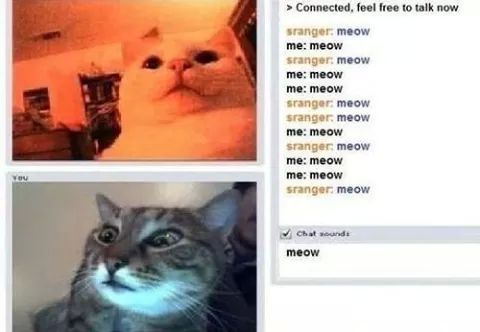 Meow...sigueme y te sigo - meme